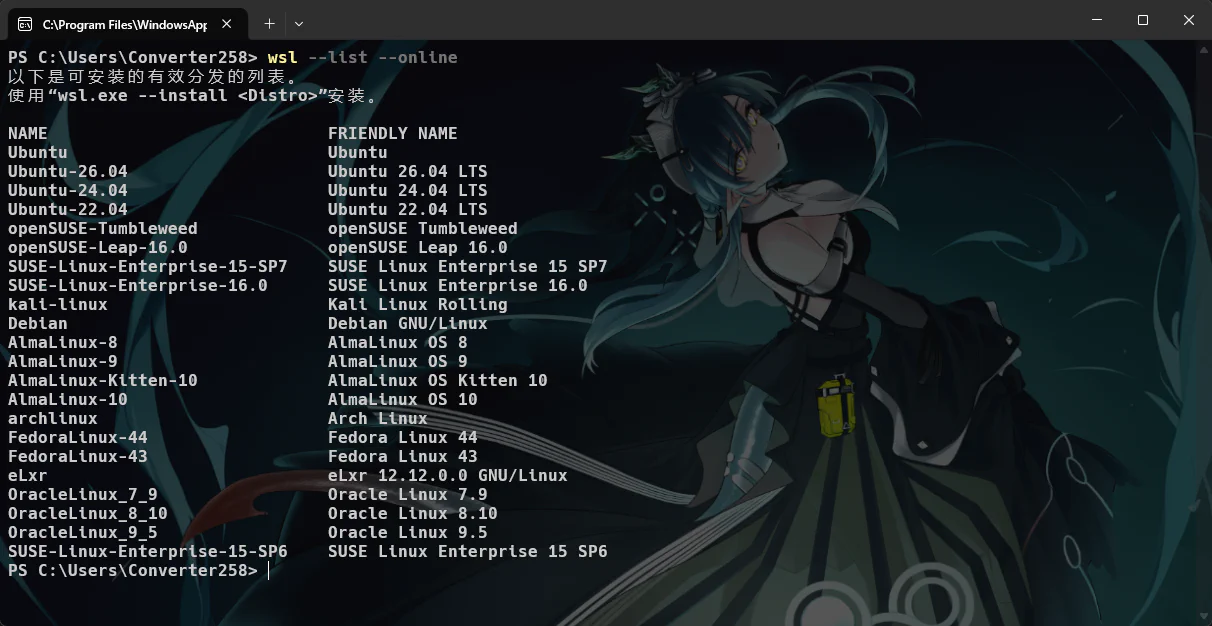 终端列出的可安装 WSL Linux 发行版